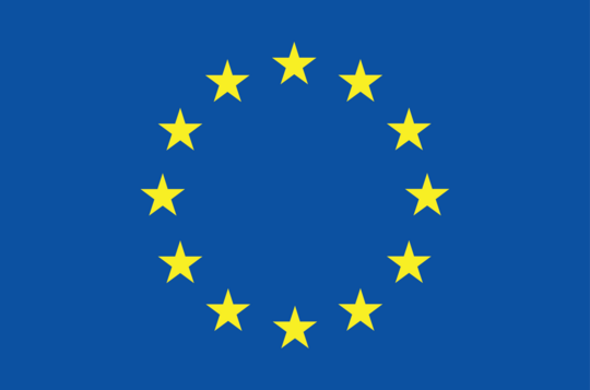 Co-funded by the European Union emblem